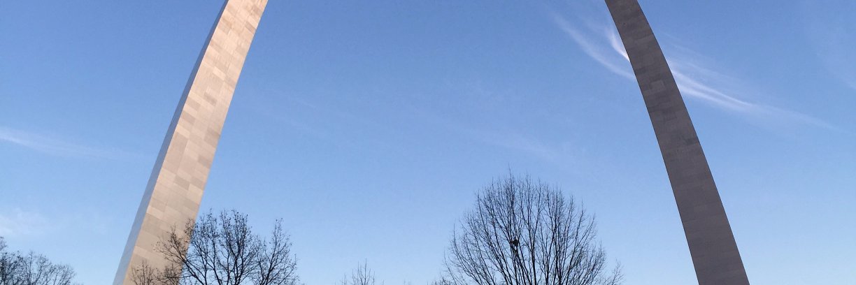 Francis G. Slay banner