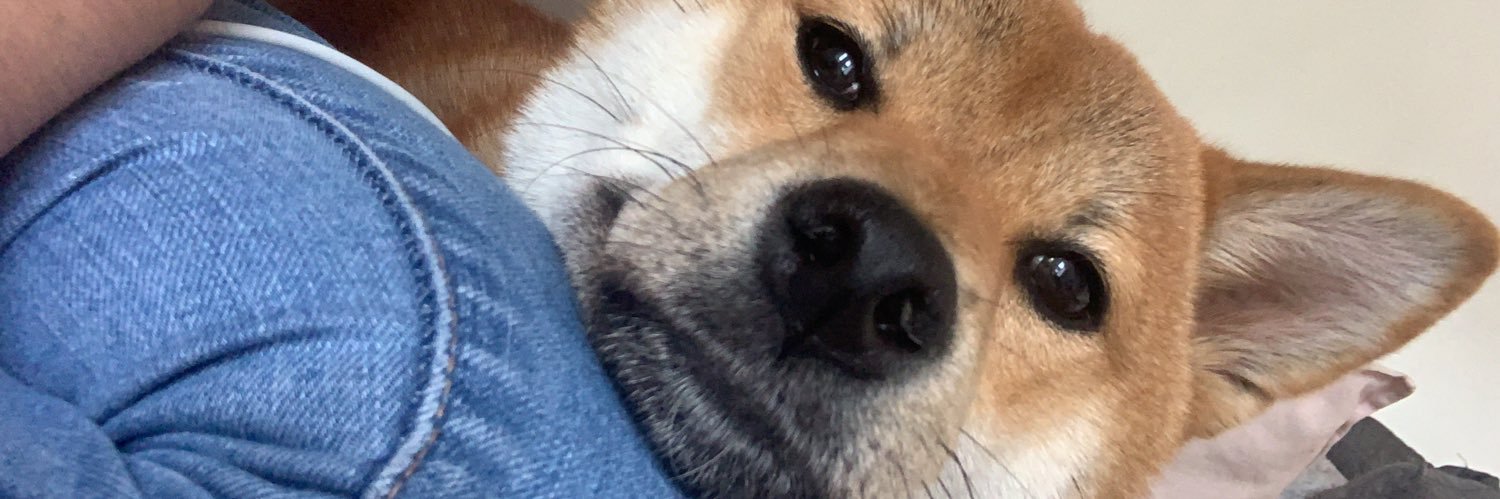 MaryneB_'s profile banner image