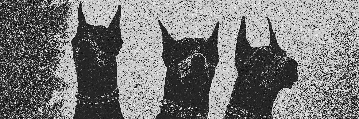 thekacey808's profile banner image
