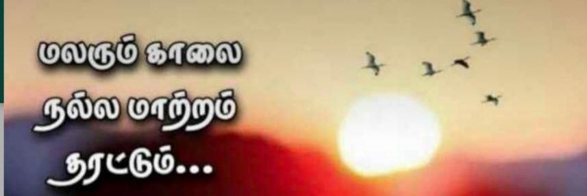 rjpal2007's profile banner image