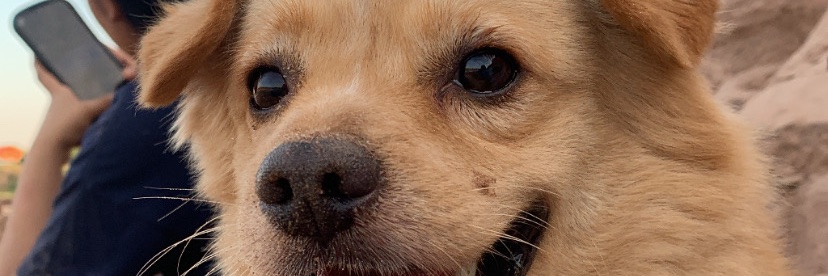 Vcrissss's profile banner image
