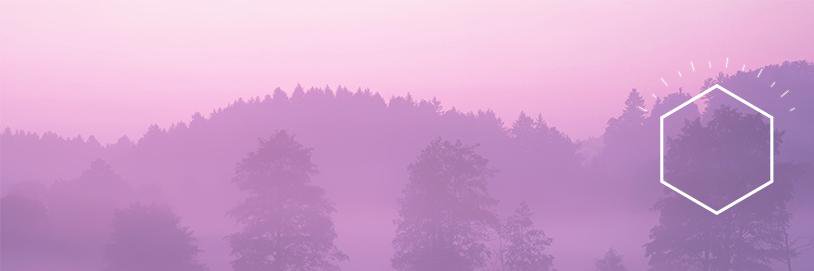 LylaChales's profile banner image