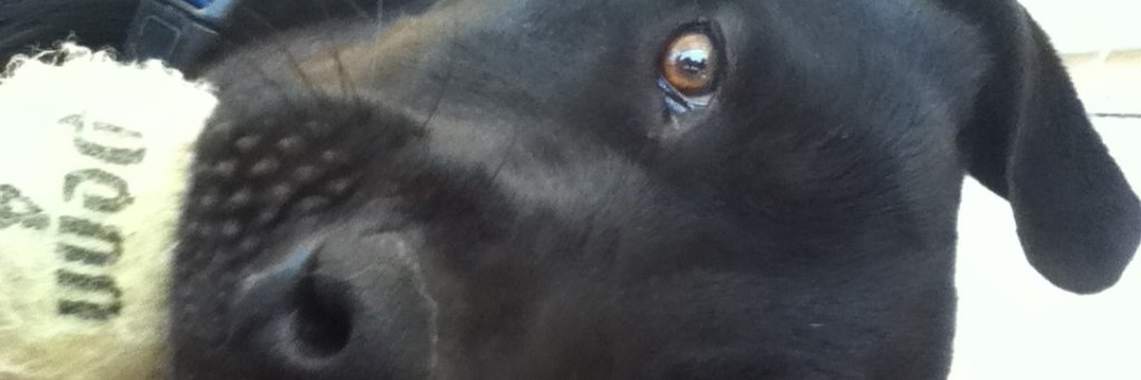 Ron39887116's profile banner image