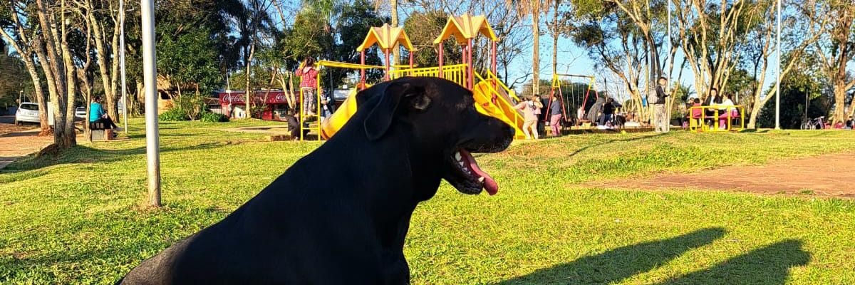 p_c29's profile banner image