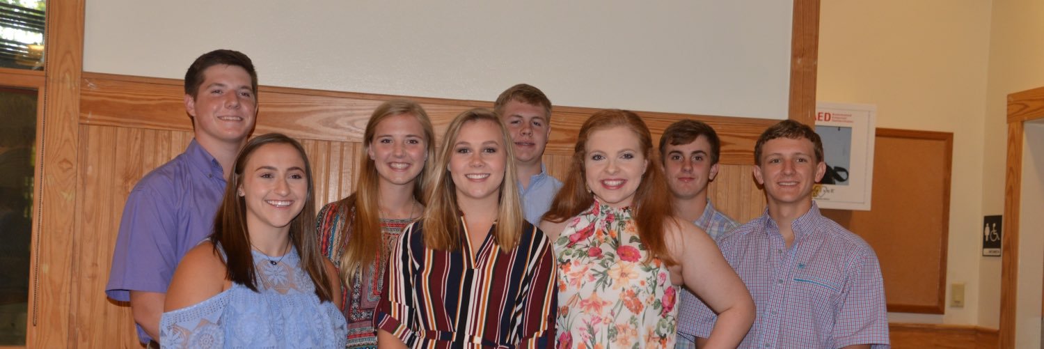 District 11 4-H banner