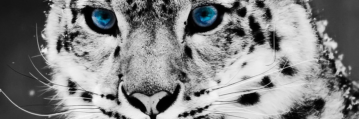pabloCR_77's profile banner image