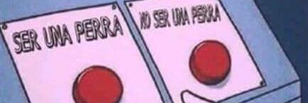 Melcainelli's profile banner image