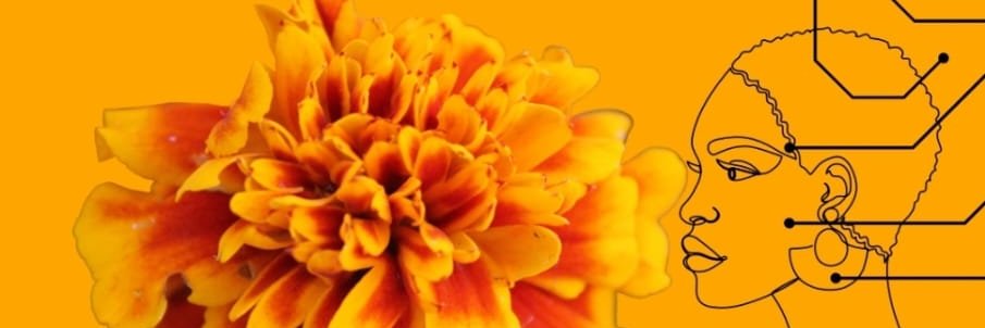 Marigold Initiative banner