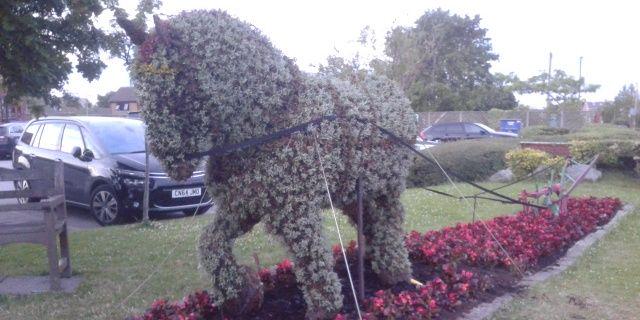 Staining in Bloom banner