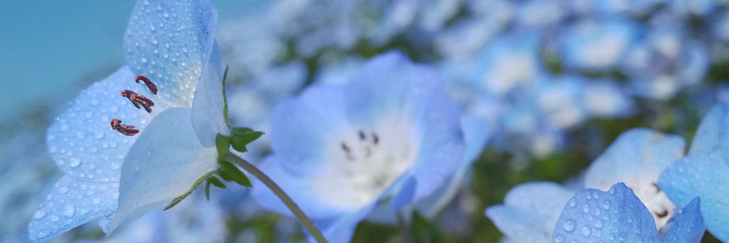 46jiroukun's profile banner image