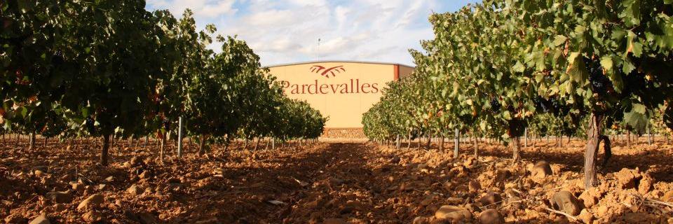 Pardevalles's profile banner image