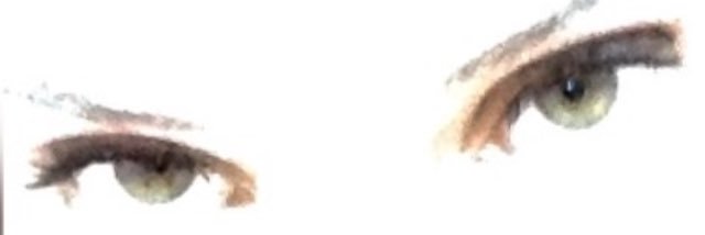 NAU banner