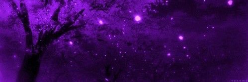 Shadow Midas ☯️'s banner