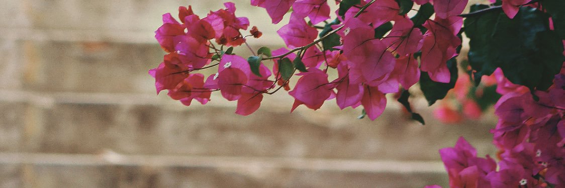 snxt_1's profile banner image