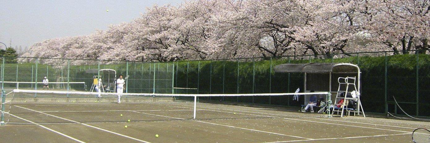 naka_pon's profile banner image