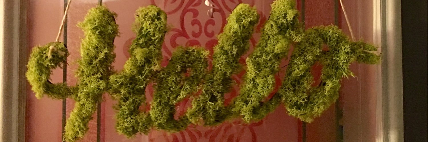 MizDub's profile banner image