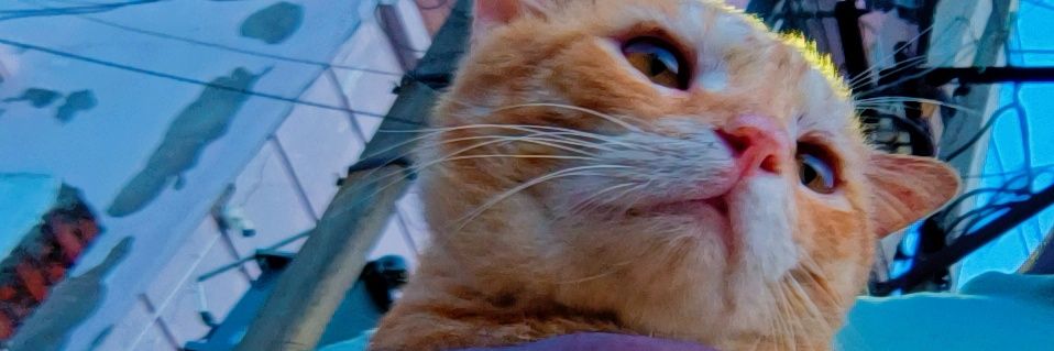 can't be your superman banner