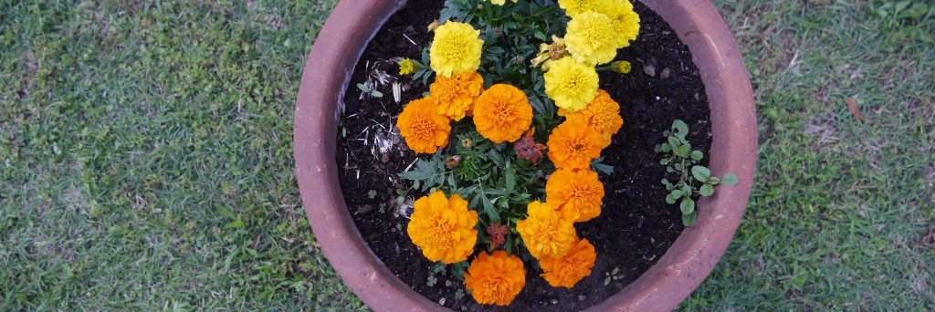 Carolinch87's profile banner image