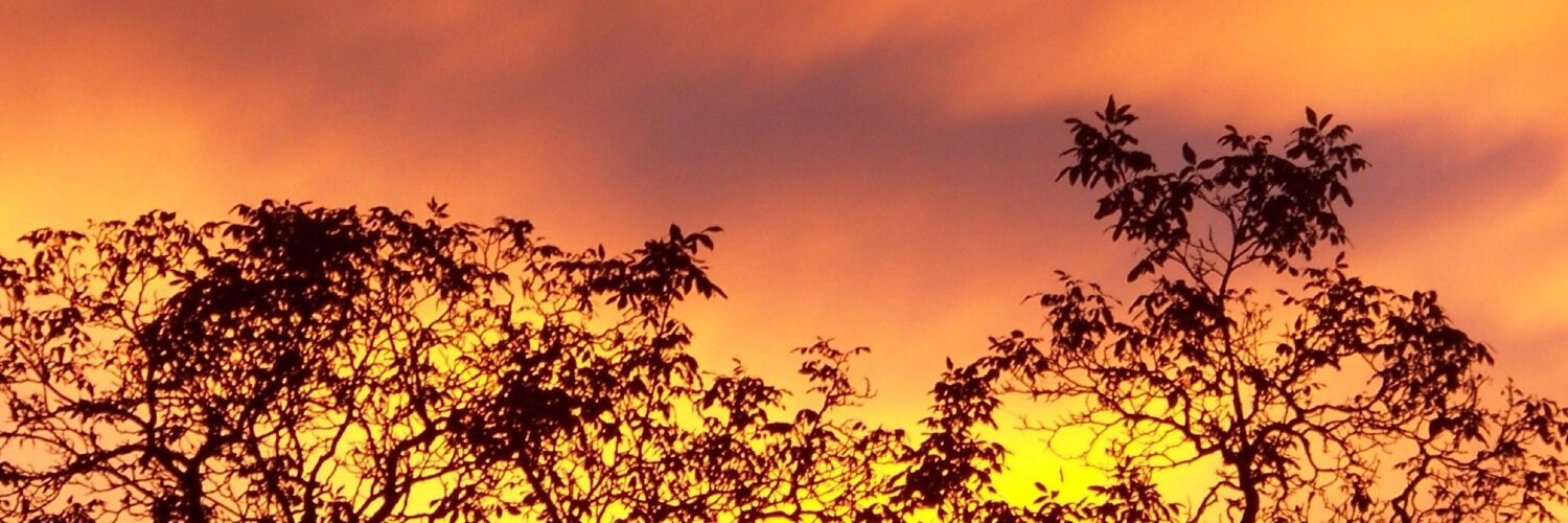 FireAndDance's profile banner image