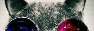 prillyafully's profile banner image