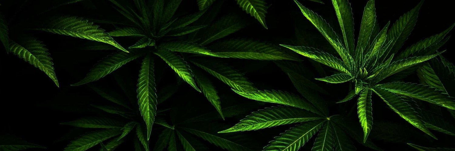 FourDubb 🌿 banner