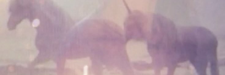 veinsofglitterr's profile banner image