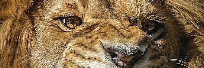 GeorgeKatama's profile banner image