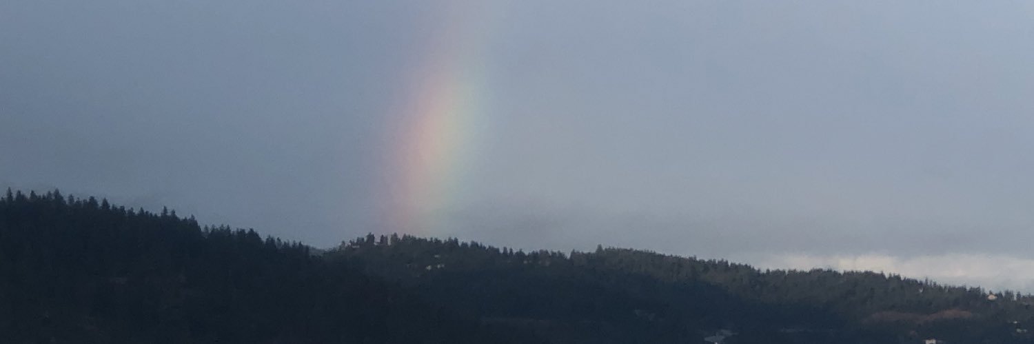 jodyegel's profile banner image