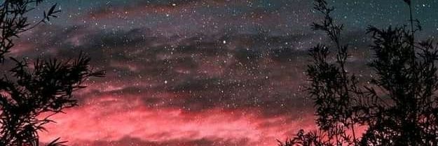 Dechen Pem banner