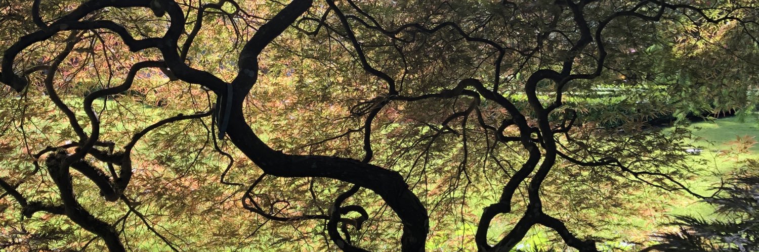 SarahNainby's profile banner image