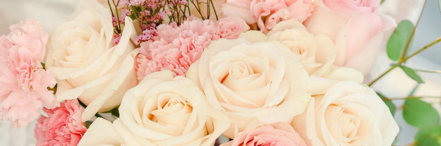 beatrizwsdiary's profile banner image