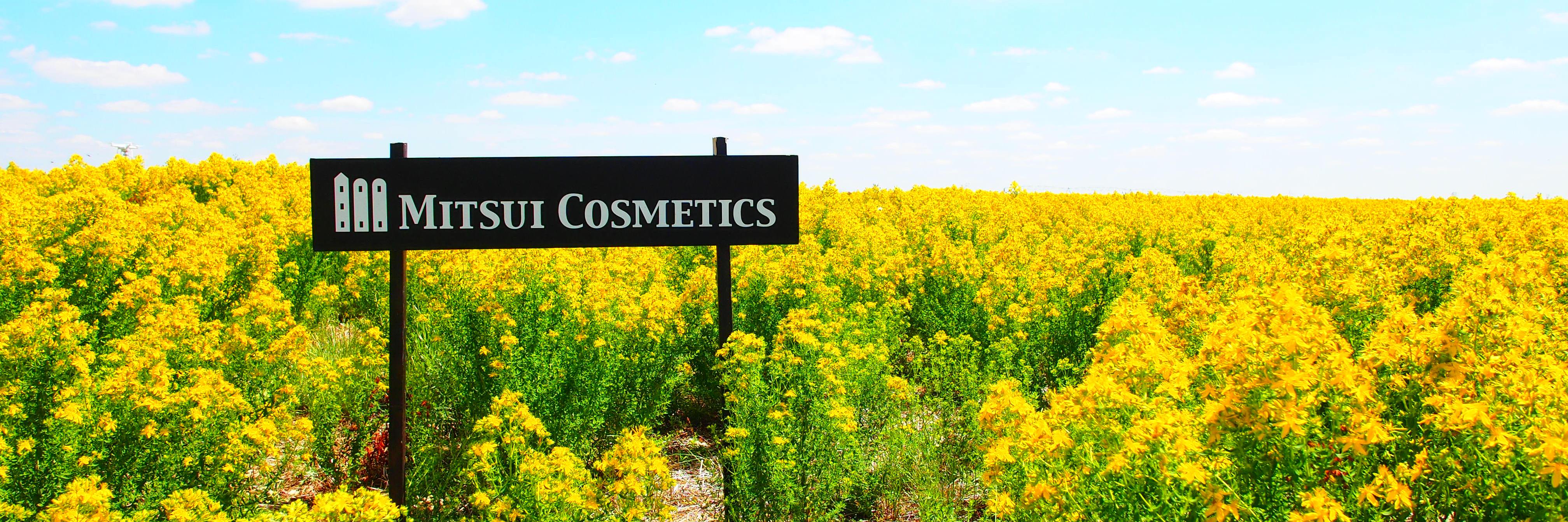 Mitsui Cosmetics (@MitsuiCosmetics) / Posts / X