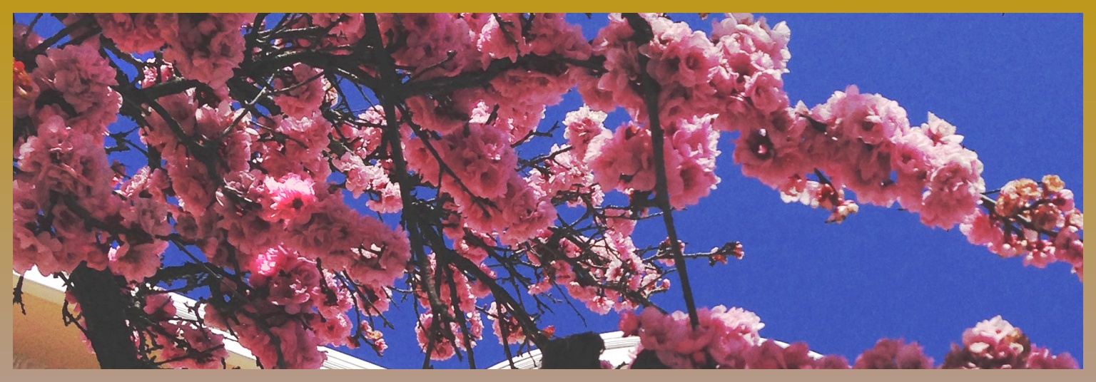r_ruuh's profile banner image