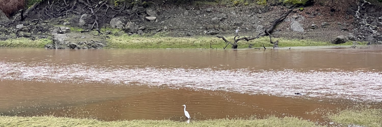 Srishti Prabha (They/Them) banner