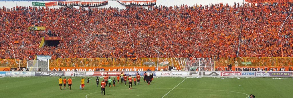 Edgar Amaya banner