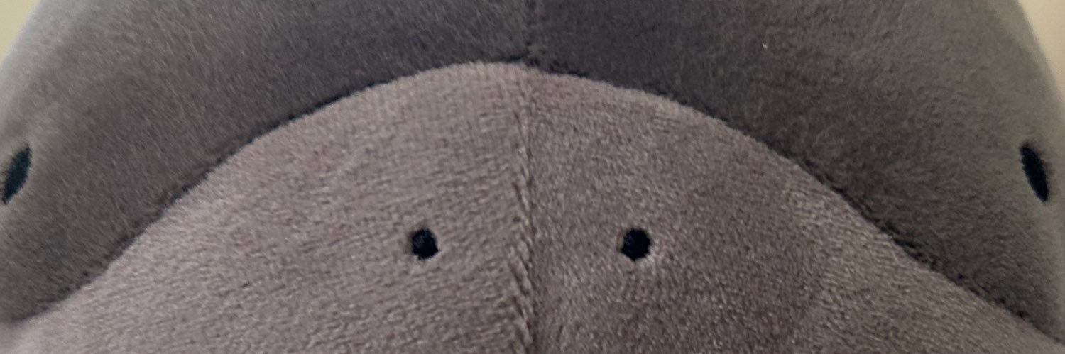 ieeeeeeeeeeeho's profile banner image