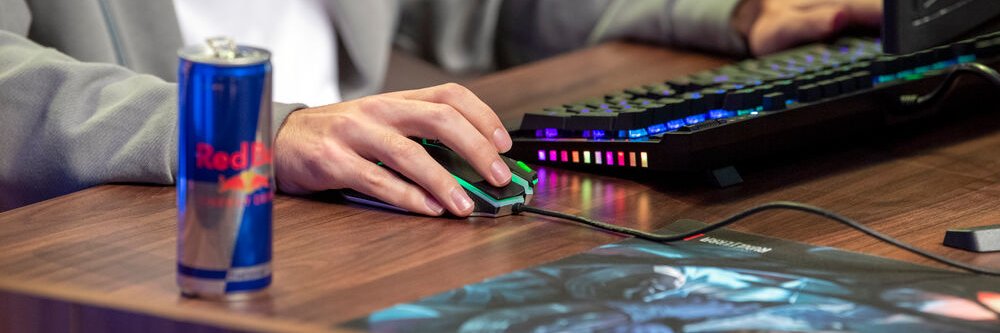 Red Bull Switzerland banner