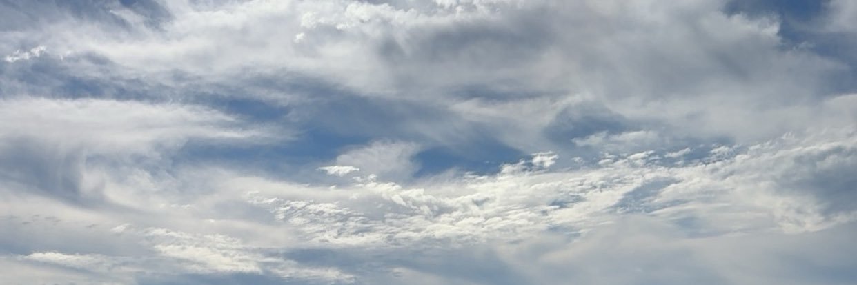 _ banner