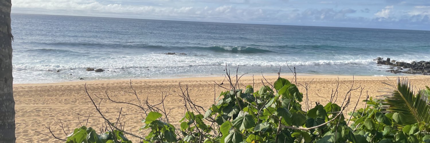 Daniel Fortin banner