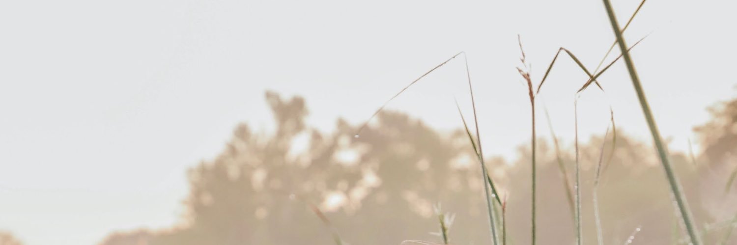 iamsamhaas's profile banner image