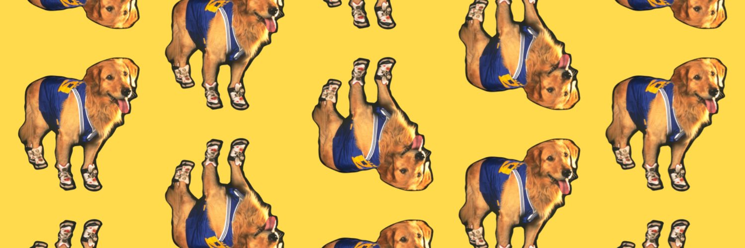 siân (only here for the zipline) banner