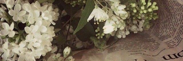 nini //FreeTagTO banner