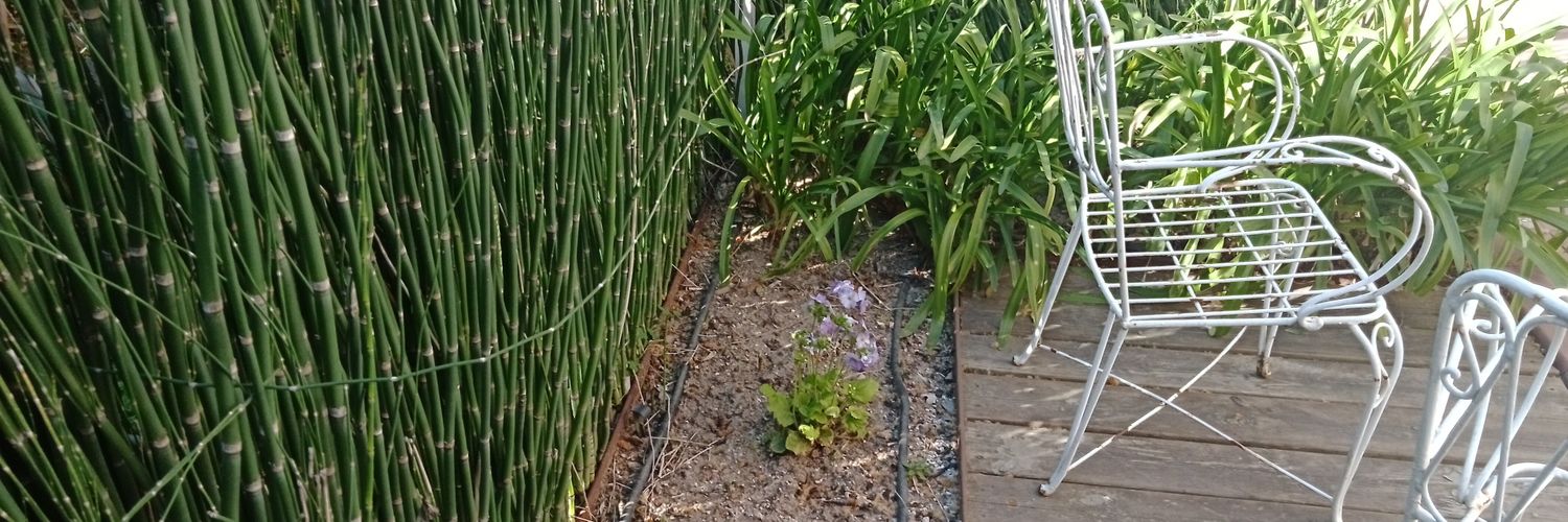 AloeVega rapaza banner