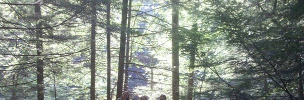 ElizabethBryan Profile Banner