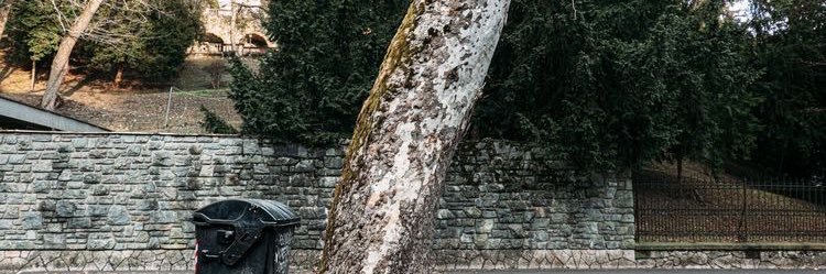 SH. banner