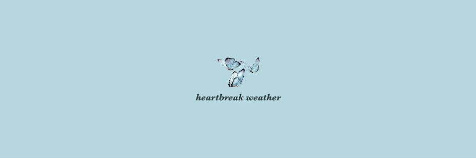 B🦋 banner