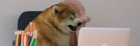 heymarces's profile banner image