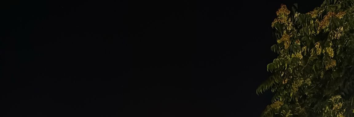 AlperFeda's profile banner image
