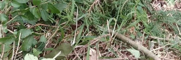 luix14_16 Profile Banner