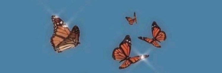 MonarchMorgan's profile banner image
